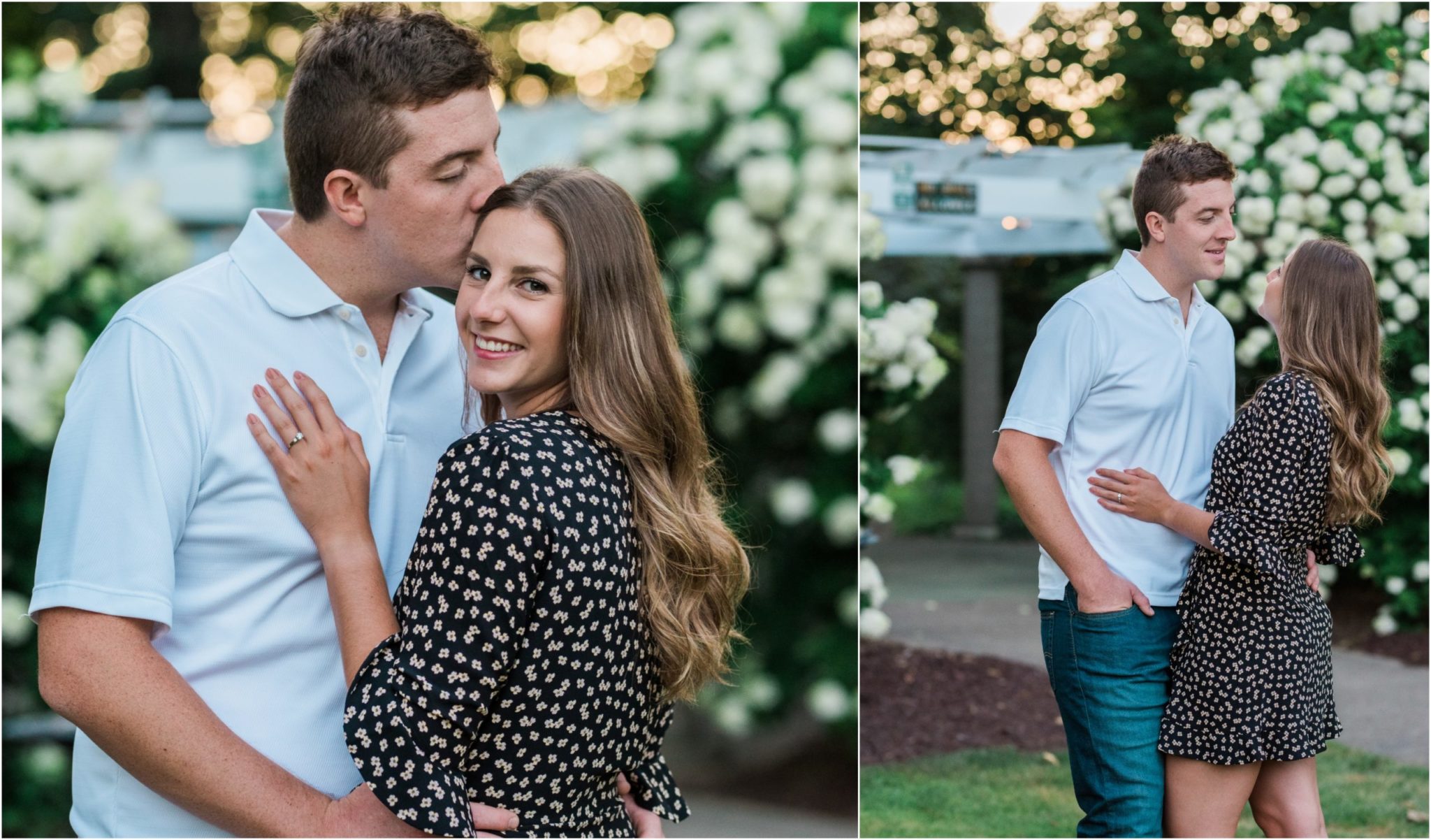 A collage image of a couple in front of a hydrangea bush in a rose garden.