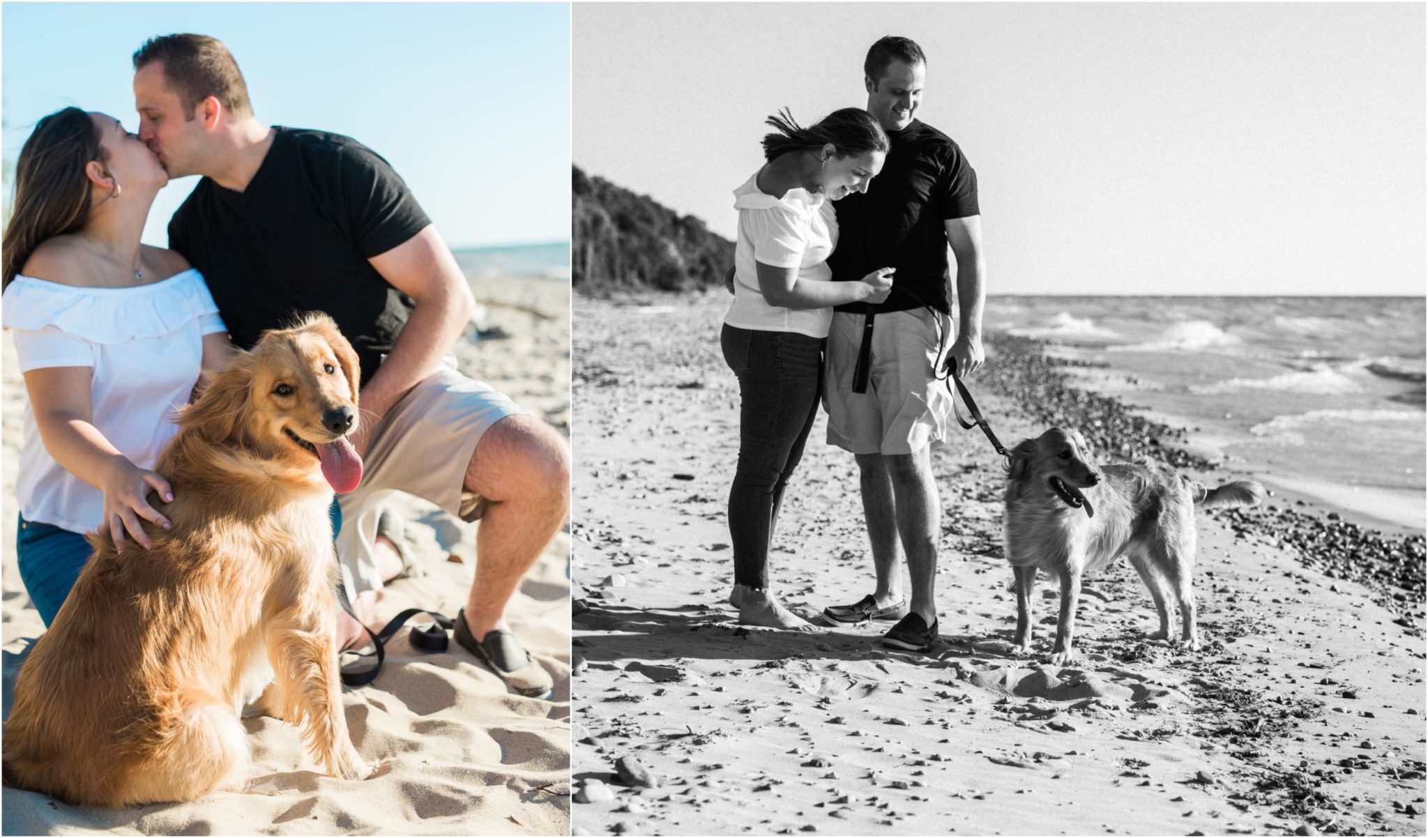 Collage image of a couple kissing on the beach while holding their dog.