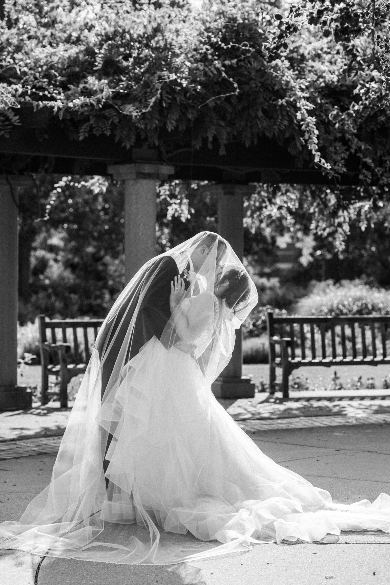veil photo in black and white on msu campus
